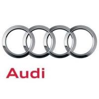 Audi a CNG, LNG, gaz ziemny, metan, biogaz, erdgas, egas Audi a CNG, LNG, gaz ziemny, metan, biogaz, erdgas, egas