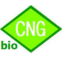 bioCNG (biometan, biogaz, CBG, bioLNG, LBG) bioCNG (biometan, biogaz, CBG, bioLNG, LBG)