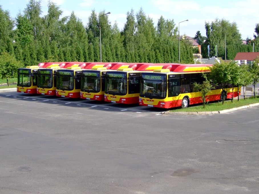 Autobus MAN Lion CNG MZK Zamość żółty z pomarańczowymi pasami