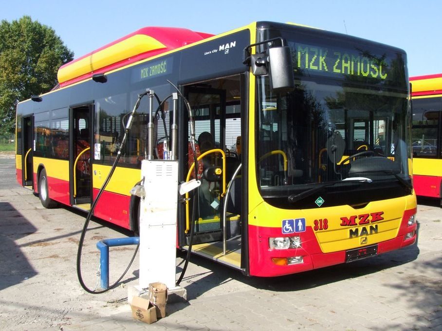 MAN Lion autobus CNG w kolorach żółto-pomarańczowych Zamościa