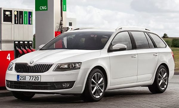 Biały Skoda Octavia G-TEC na stacji CNG przy pompie do tankowania metanu