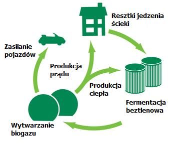 Łańcuch produkcji biometanu z odpadów do zasilania VW New Beetle