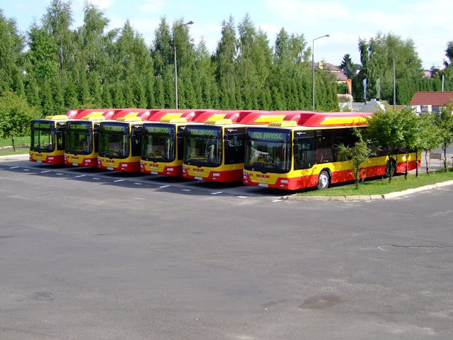 Niezależny raport na temat perspektyw rozwoju rynku CNG